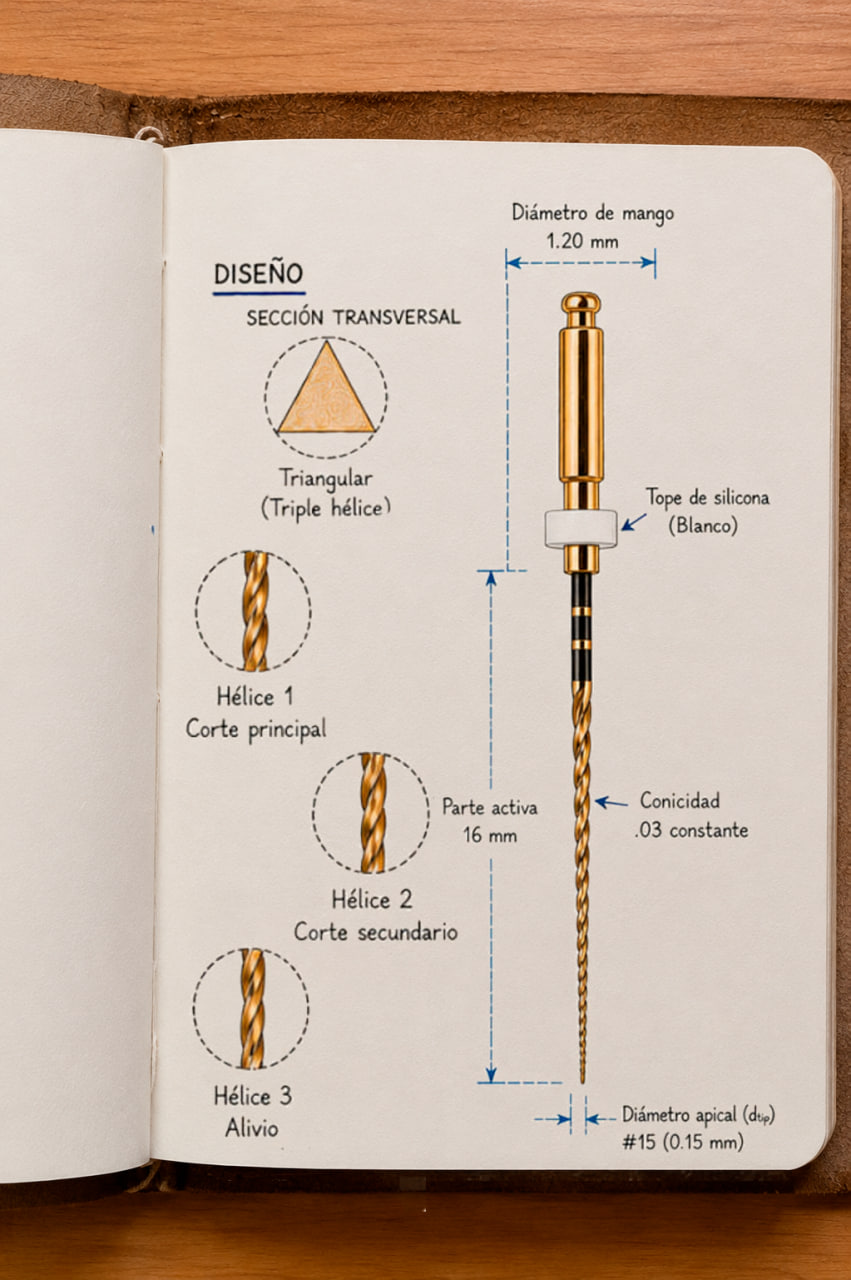 Diseño del Z-Glider Evo: sección transversal triangular con triple hélice (corte principal, corte secundario y alivio), conicidad .03 constante y diámetro apical #15